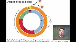 Honors Biology 33 All Cells Come from PreExisting Cells [upl. by Eeryt]