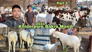 Bakra Mandi 2024  Kolkata Bakra mandi  Bakra mandi Kolkata  Part 2 [upl. by Weingartner]