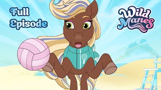 The Hoof Polish 💅 Full Episode 🐴 Wild Manes  Ep 17  Cartoons for Kids [upl. by Gladstone]