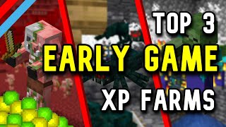 TOP 3 best XP FARM in Minecraft EARLY GAME [upl. by Sheena]