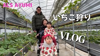 いちご狩り🍓VLOG [upl. by Peckham]