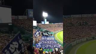 甲子園球場レフトスタンド！ドラゴンズ🐉ラッキー7🐉燃えよドラゴンズ202494😀中日ドラゴンズ 甲子園 [upl. by Dranreb]