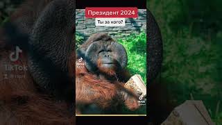 Выборы президента 2024 Путин или Бату Ты за кого Талисман Новосибирск Результаты в ТикТоке ЛСПРФ [upl. by Eneri]