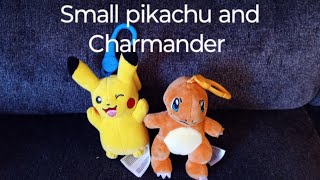 Small pikachu and Charmander [upl. by Noryb28]