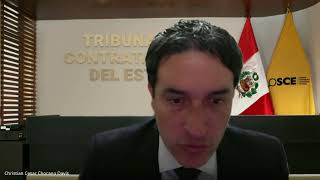 Audiencia de Apelación del Tribunal de Contrataciones del Estado S5EXP105002024TCE 16102024 [upl. by Voccola]