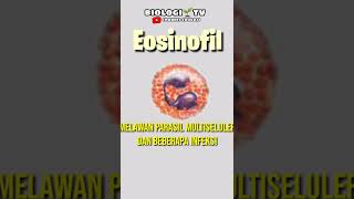 eosinofil biologi utbk ipa [upl. by Libre621]