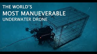 The Worlds Most Maneuverable Underwater Drones │Oceanbotics [upl. by Cammie]