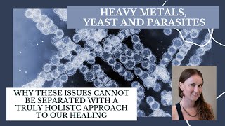 Heavy Metals Yeast and Parasites [upl. by Arotal]