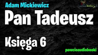 Pan Tadeusz  Księga 6  Adam Mickiewicz  Audiobook za darmo  pawcioaudiobooki [upl. by Gillespie]