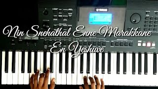 Nin Snehathal  Keyboard cover [upl. by Anima]