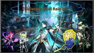 Grand Chase DC  Challenged Raid 15 wbotak王 [upl. by Lozar]