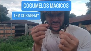 AVENTURAMOS DE CRF PRA ACHAR ISSO EM ESCARPAS DO LAGO [upl. by Avner199]