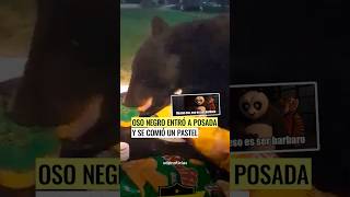 Enorme oso negro llega a posada y se come el pastel 😱🐻 [upl. by Naujid]