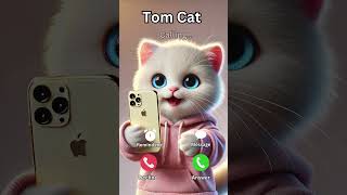 iPhone 13 Pro Max Ringtone trending shorts feedsiphone ringtone viral [upl. by Ahsyak499]