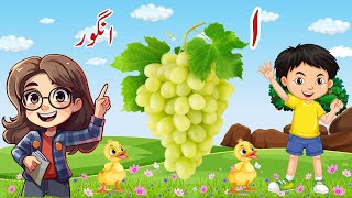 Urdu alphabets alif se ye tak alif se anar حروف تہجی alif bay pay tay anas ka channel [upl. by Suh]