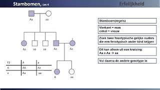 klas 3 les 4 Stambomen KOLD [upl. by Quigley]