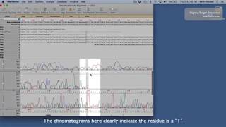 Confirming a small sequencing project against a reference [upl. by Doner]