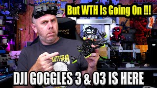 DJI Goggles 3 O3 Support Is Here  The Rundown On FCC Hacks  Compatibility amp More [upl. by Esinyl]