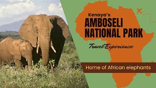 Trip to Amboseli National Park [upl. by Quintilla677]