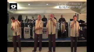 Las Voces de Billos Vol 2 By Vdj Fernando Marin [upl. by Kaenel237]