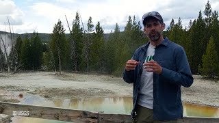 Yellowstone Volcano Update for August 2021 [upl. by Halueb]