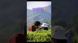 This scene 🤣 watch till end 🤭ytshort cdrama genz kdrama toutouni couplegoals [upl. by Colburn]