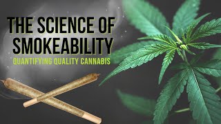 THE SCIENCE OF SMOKEABILITY SOS Cannabis researchers take on new project to understand quality [upl. by Ahsiliw]