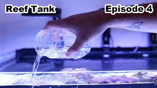 Algae Barn Copepods Unboxing Ep 4 [upl. by Carlotta]