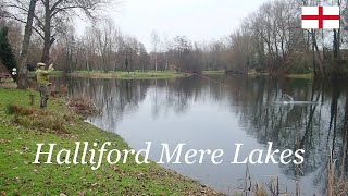 Halliford Mere Lakes ロンドン近郊の手軽にける管理釣り場です。フライ、ルアーでニジマス、パイク、パーチが狙えます。 [upl. by Adal]