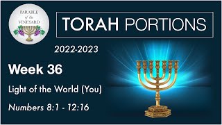 Torah Portions  Week 36  YOU Are The Light  Numbers 81  1216 20222023 [upl. by Noach132]