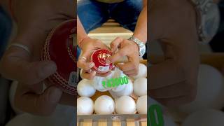 UNBOXING SG Most Expensive Leather Cricket Balls  Worth ₹43000 cricket shorts ball [upl. by Battista]