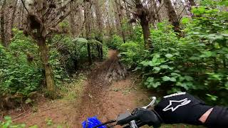 Whangamata trail ride [upl. by Borrell]