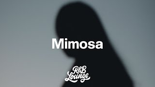 RINI  Mimosa Lyrics [upl. by Salem]