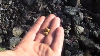 Garrett Infinium finds 14 OZ Gold Nugget in N California [upl. by Eetsirhc590]