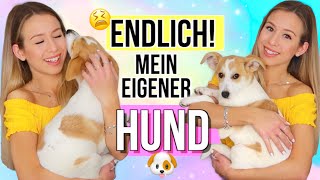 ICH HABE EINEN WELPEN BEKOMMEN 🐶🥰Mein erster EIGENER Hund  Cali Kessy [upl. by Dlorrej]