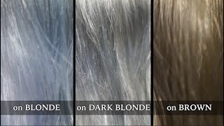 MANIC PANIC BLUE STEEL on Blonde Dark Blonde and Brown Hair Before amp After SWATCH [upl. by Anaili]