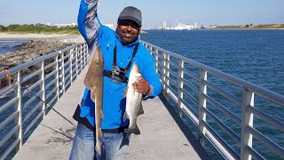 Fishing At Jetty Park Pier Cape Canaveral Snook amp Guitarfish [upl. by Bowne]