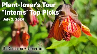 Plantlovers Tour  quotInterns Top Picks 2024quot [upl. by Armilla361]