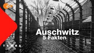 5 Fakten die ihr über Auschwitz wissen solltet  Terra X [upl. by Nednal]