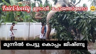 Thiruvambady Chandrasekaran l മുന്നിൽ പെട്ടു കൊപ്പം ജിഷ്ണു [upl. by Becht]