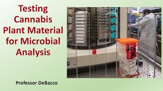 Testing Cannabis Plant Material for Microbial Analysis [upl. by Oiludbo]