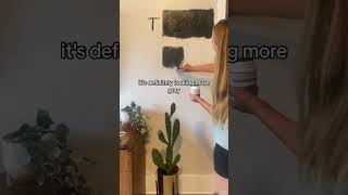 Black Paint Color Swatches  Living Room Makeover [upl. by Connelley]