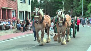 Belgian Draft HorsesKeerbergenKarrenen wagenstoet2013 [upl. by Nylyoj31]