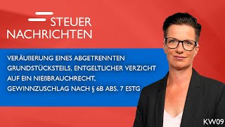 Veräußerung eines Grundstücksteils Nießbrauchrecht Gewinnzuschlag  Steuernachrichten Update 0924 [upl. by Madda]