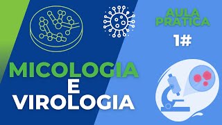 Micologia e Virologia AULA PRÁTICA 1 [upl. by Morten]