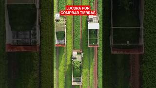 LA OBSESIÓN POR COMPRAR TIERRAS ASUSTA A ESTADOS UNIDOS [upl. by Godard]