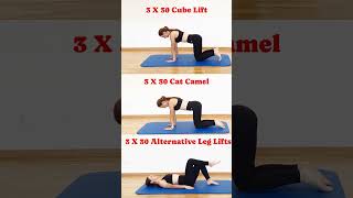 Cube LiftCat CamelAlternative Leg Lifts cubelift catcamel leglift motivation beginnerworkout [upl. by Nojed]