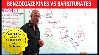 Benzodiazepines Vs Barbiturates  Pharmacology  Dr Najeeb Lectures [upl. by Assyl]