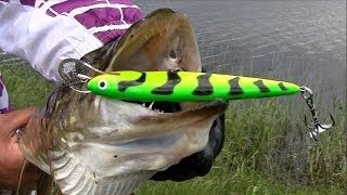 Pike attack Salmo underwater Fishing with lures hardbaits  strikes Рыбалка щука атакует воблер [upl. by Amersham866]