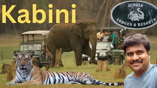 🔥Kabini  River lodge resort  vinothvlog [upl. by Shepherd]